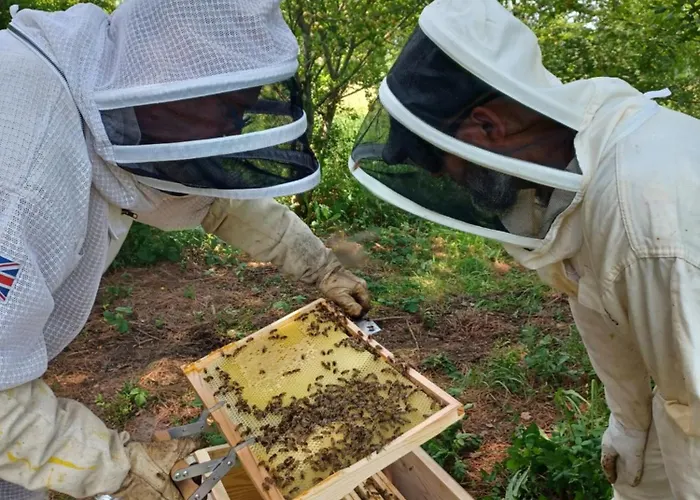 דירה Calme Et Charme A La Campagne - Lauren