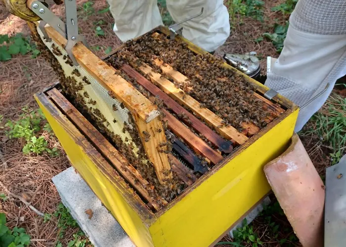 Calme Et Charme A La Campagne - Lauren דירה